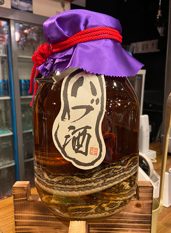 Festa Okinawa　ハブ酒